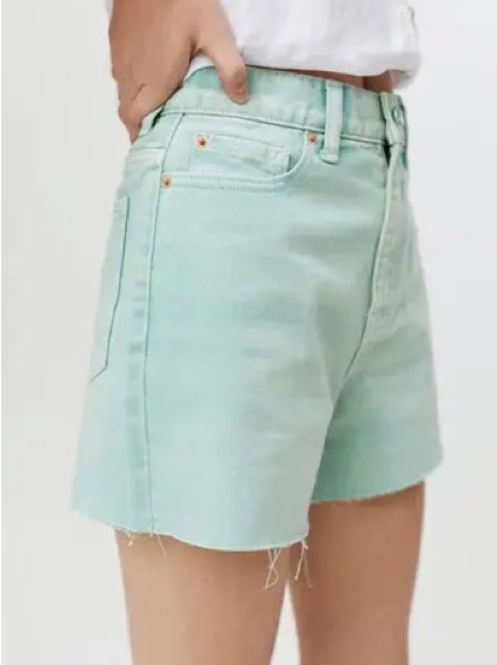 BDG SHORTS